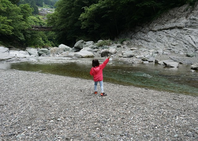 DSC08870.JPG